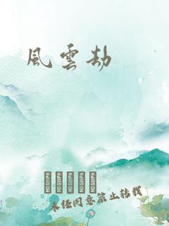 风云劫