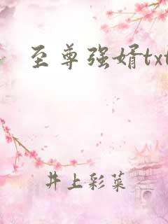 至尊强婿txt