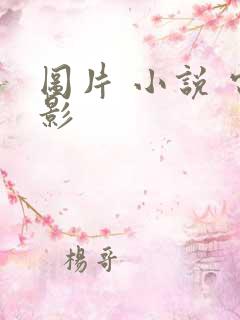 图片 小说 电影