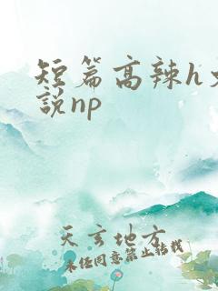 短篇高辣h文小说np