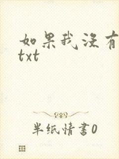 如果我没有爱过txt