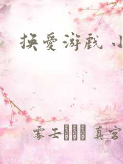 换爱游戏 小说