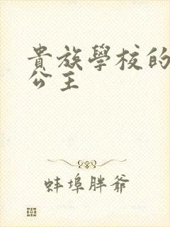 贵族学校的双面公主