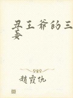 丑王爷的三妻四妾