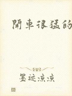 开车很猛的古文