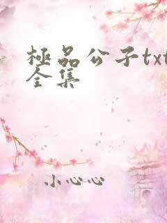 极品公子txt全集