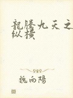 龙腾九天之异世纵横