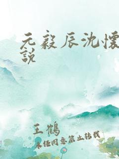 元毅辰沈怀妆小说