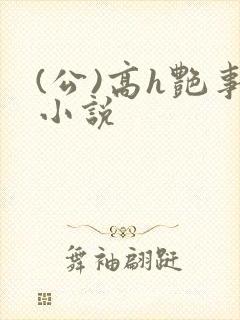 (公)高h艳事小说