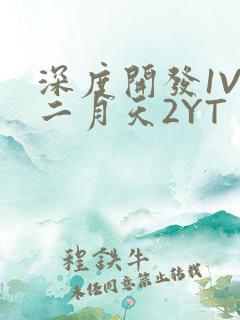 深度开发1V3二月天2YT