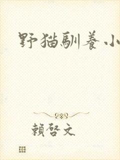 野猫驯养小说