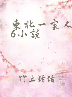 东北一家人1一6小说