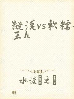 糙汉vs软糯女主h