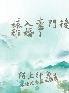 嫁入豪门后我又离婚了