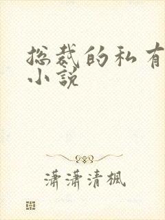 总裁的私有宝贝小说