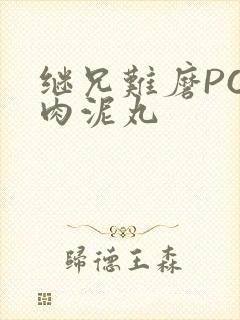 继兄难磨PO猪肉泥丸