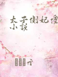 太子侧妃傻乎乎小说