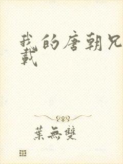 我的唐朝兄弟下载