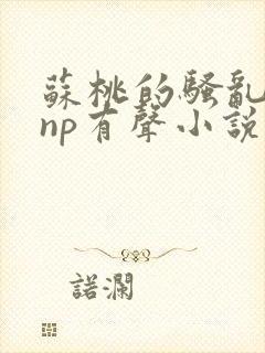 苏桃的骚乱文肉np有声小说