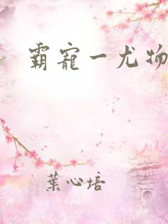 霸宠一尤物老婆