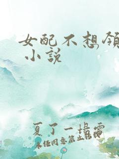 女配不想领便当 小说