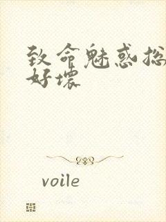 致命魅惑总裁你好坏