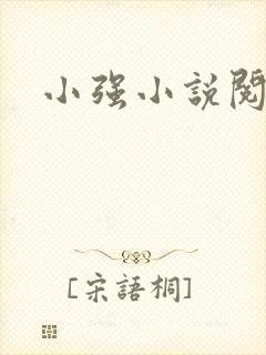 小强小说阅读网