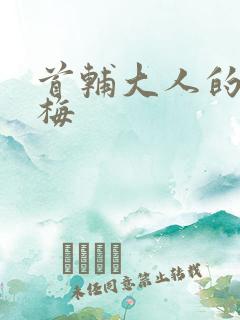 首辅大人的小青梅