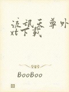 流氓天尊外传txt下载