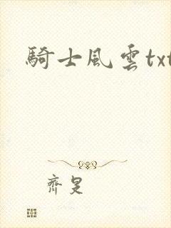 骑士风云txt
