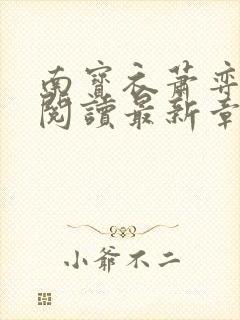 南宝衣萧弈免费阅读最新章节