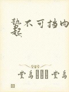 势不可挡肉到飞起