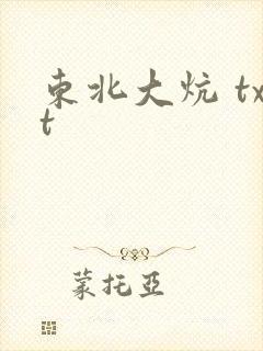 东北大炕 txt