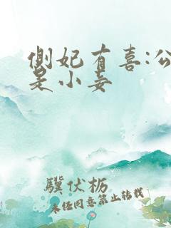 侧妃有喜:公主是小妾