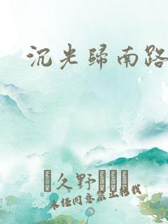 沉光归南路