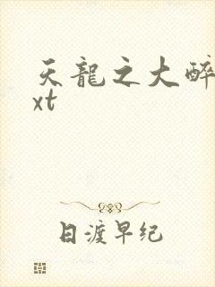 天龙之大醉侠txt