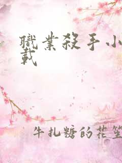 职业杀手小说下载