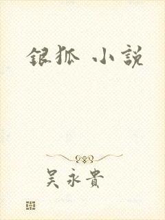 银狐 小说