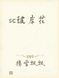 sc彼岸花