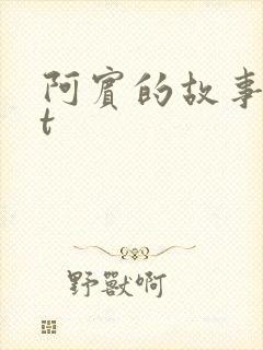 阿宾的故事txt