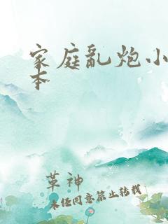 家庭乱炮小说全本