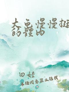 大龟慢慢挺进我的体内