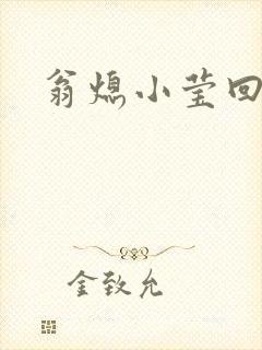 翁熄小莹回乡下