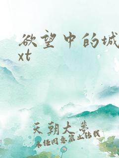 欲望中的城市txt