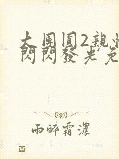 大团圆2亲情会闪闪发光免费