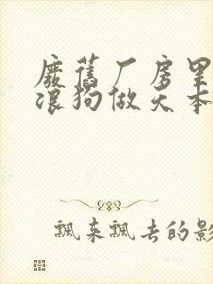 废旧厂房里和流浪狗做天本