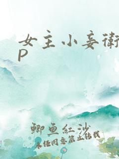 女主小妾卫府NP