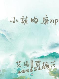 小说肉糜np