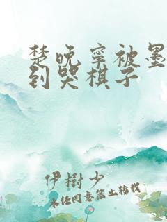 楚晚宁被墨燃做到哭棋子