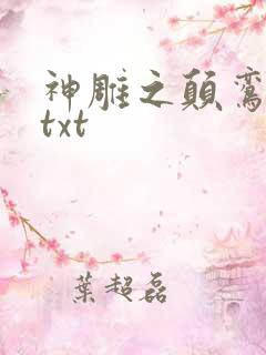 神雕之颠鸾倒凤txt